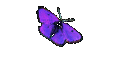 Mallisa